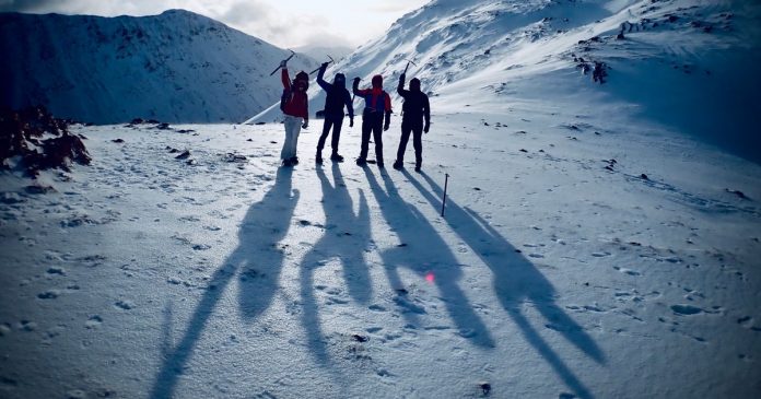 Wild Scotland's campaign aims to banish the winter gloom and celebrate the season

