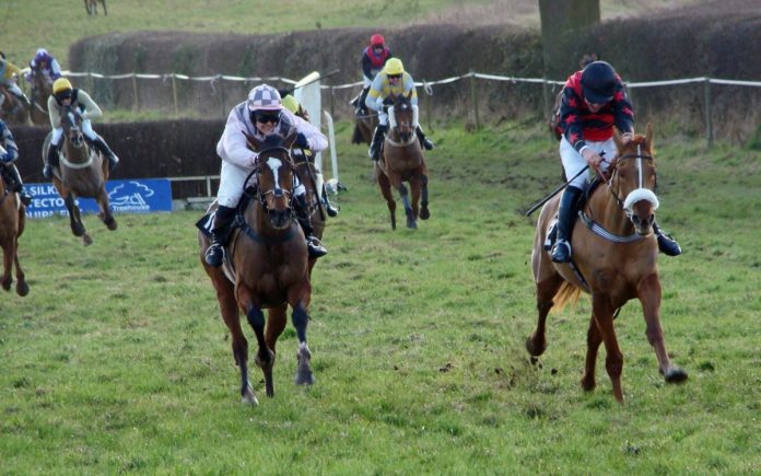 Harkaway Point-to-Point takes place next Tuesday in Chaddesley Corbett

