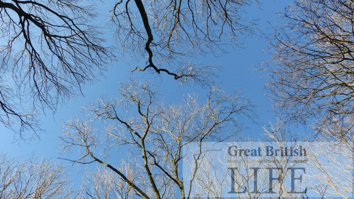5 of the best winter walks in and around Cheshire